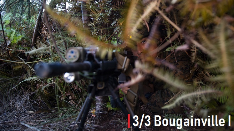 3/3 Conducts Bougainville I